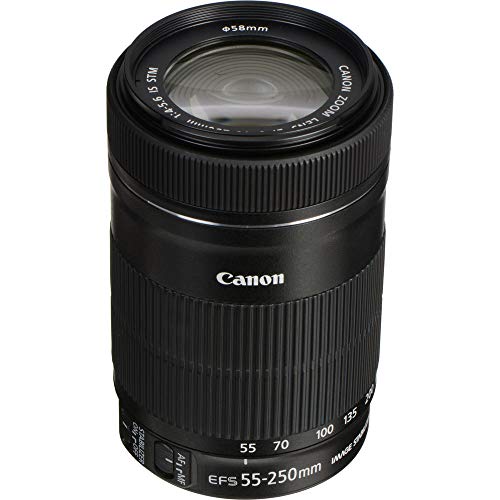 Canon EF-S 55-250mm F4-5.6 is STM