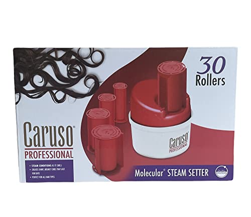 Caruso SalonPro Professional Molecular Steam Hairsetter