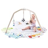 The Play Gym by Lovevery | Stage-Based Developmental Activity Gym &...