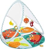 Fisher-Price Fold & Go Portable Gym, Ocean-Themed Infant Activity Mat