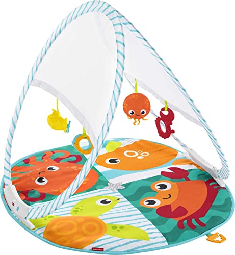 Fisher-Price Fold & Go Portable Gym, Ocean-Themed Infant Activity Mat