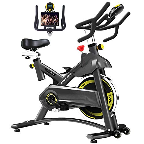 Cyclace Exercise Bike Stationary 330 Lbs Weight Capacity- Indoor...