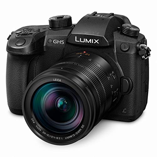 Panasonic LUMIX GH5 4K Mirrorless Camera with Lecia VARIO-Elmarit...