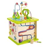 Country Critters Wooden Activity Play Cube by Hape | Wooden Learning...