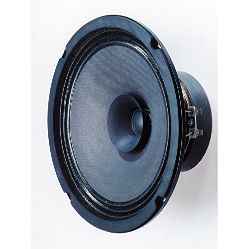 Visaton BG20-8 8' Full-Range Speaker with Whizzer Cone 8 Ohm