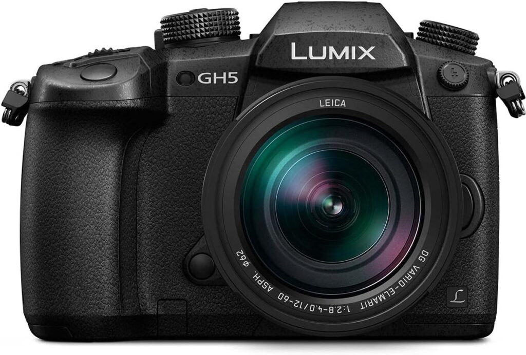 Panasonic LUMIX GH5 with Leica VARIO-Elmarit Lens