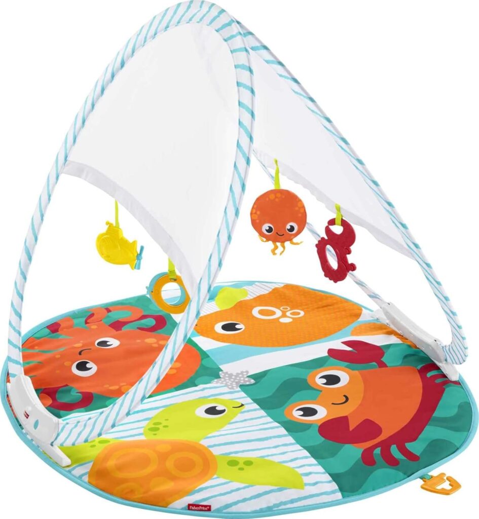 Fisher-Price Fold and Go Portable Gym FFP